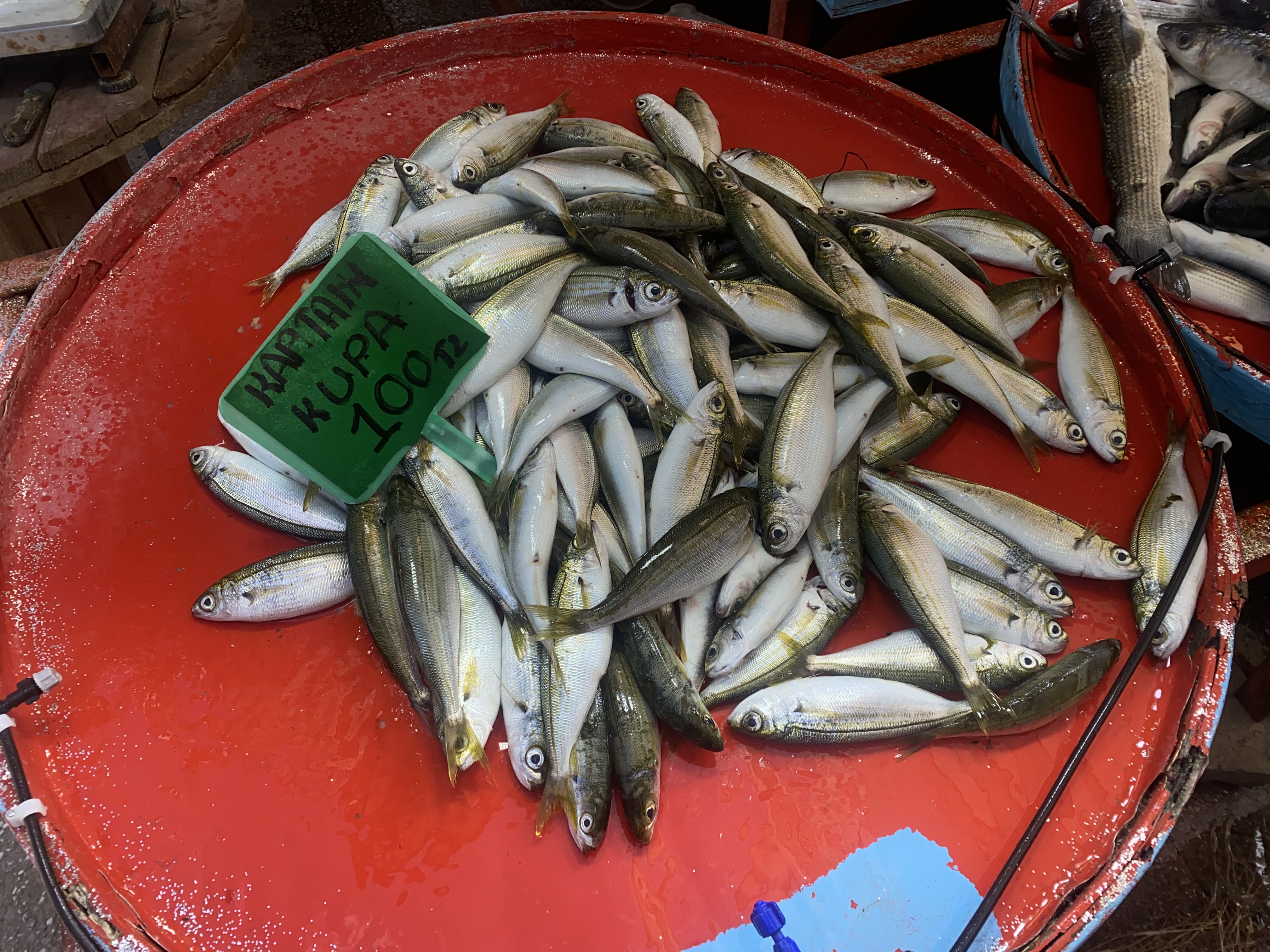 CUMPA’da bu hafta balık fiyatları