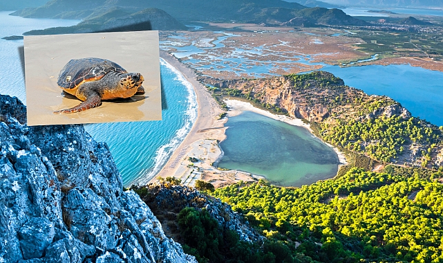 İztuzu Plajı, 2024 sezonuna renkli başlangıç yaptı: İztuzu Plajı giriş ücretleri açıklandı