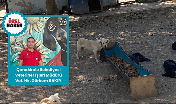 ''Bu süreci topyekûn bitirmemiz gerekecek''