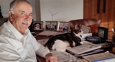 Barış Kediye ne oldu ?