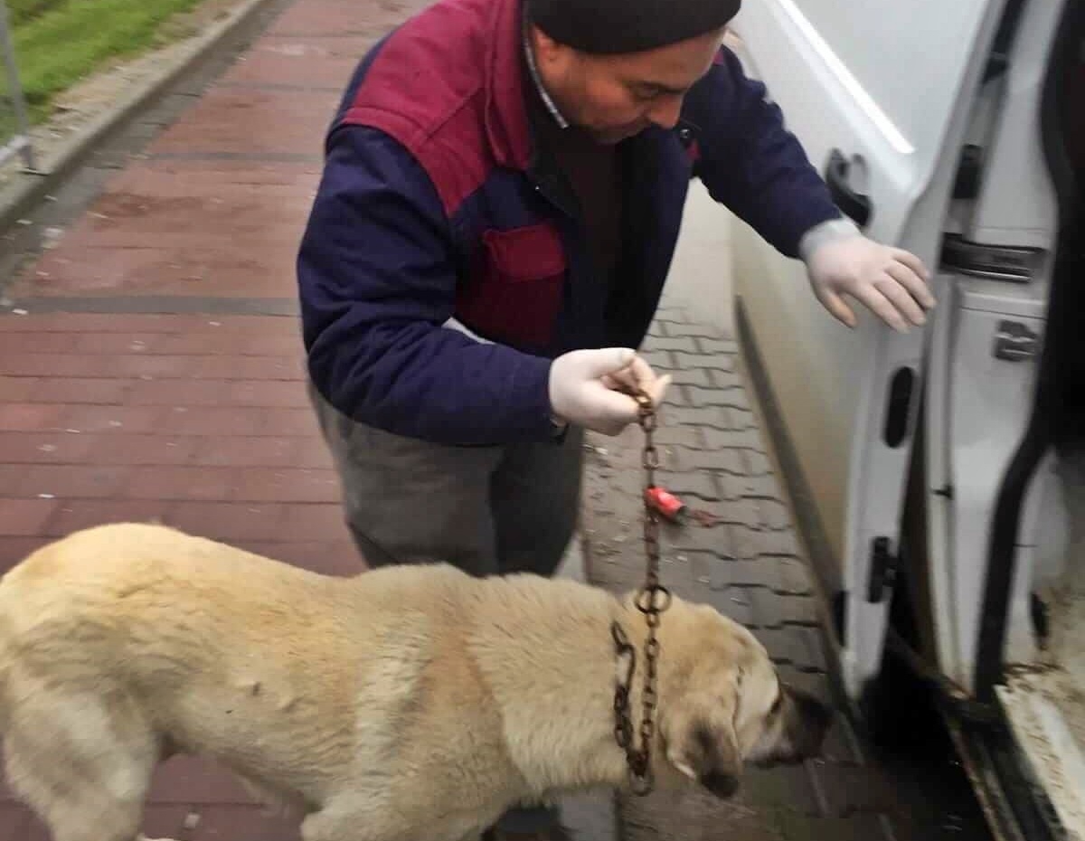 Can dostlarını unutmayın!