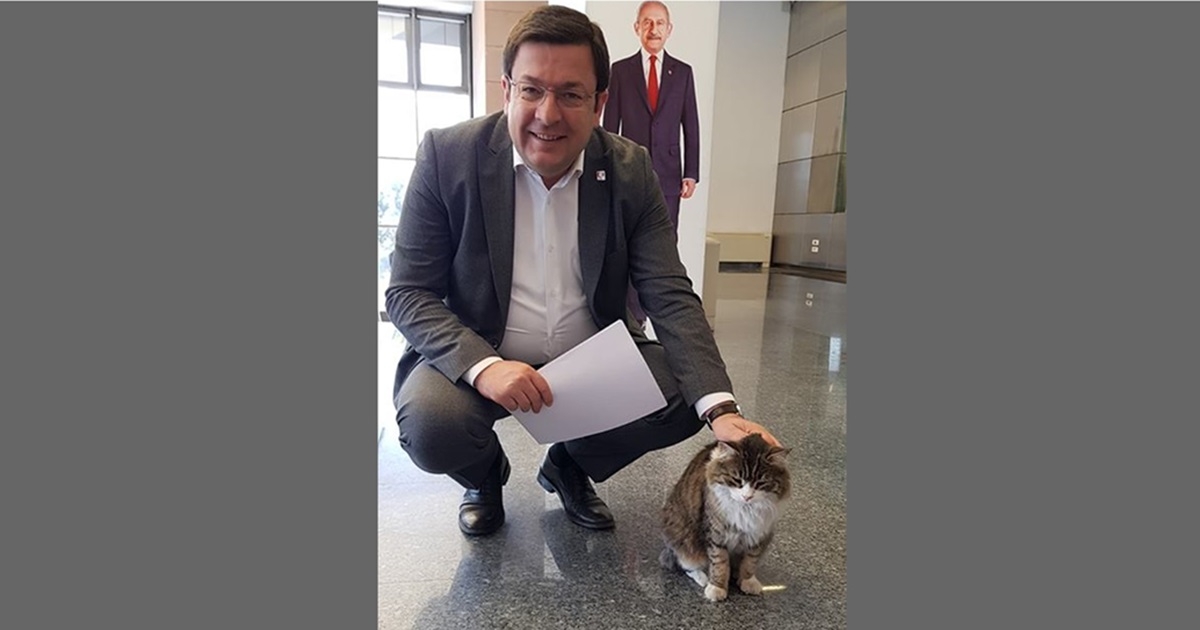 “Şero ile nöbete devam”