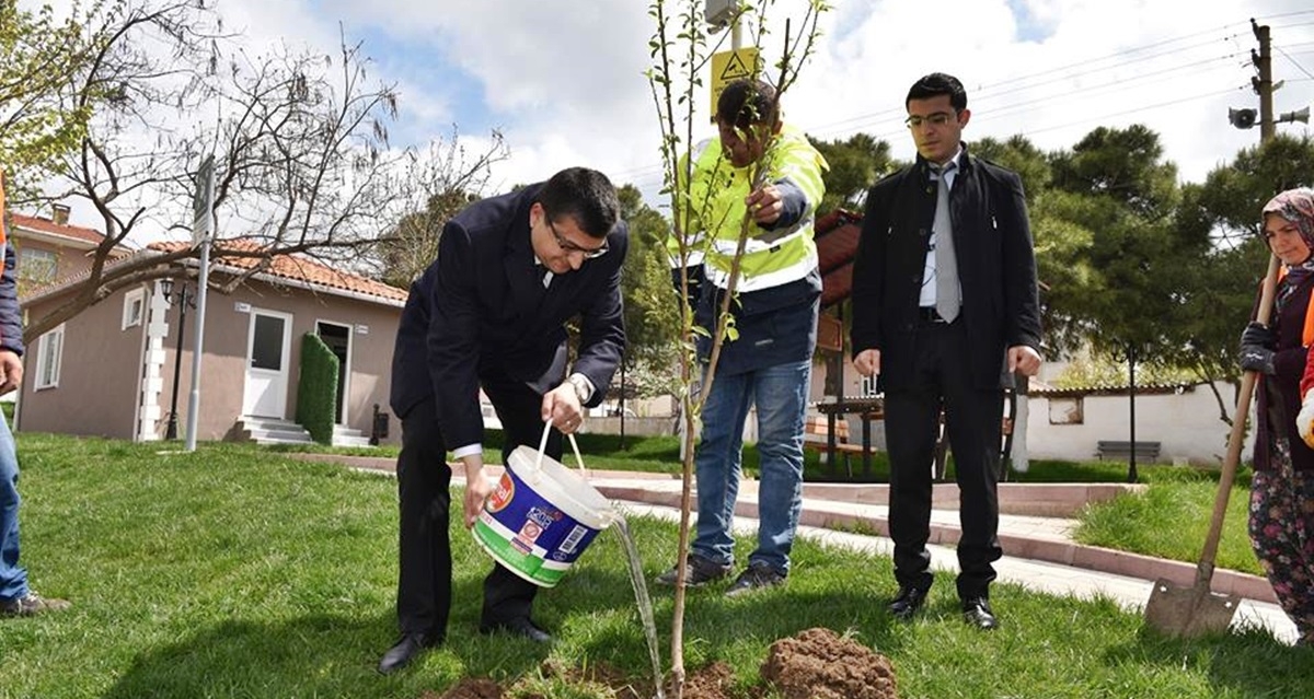 Öz fidan suladı