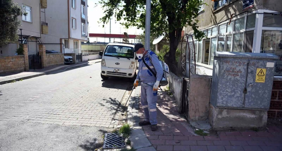 Sivrisineklere yönelik ilaçlama yapıldı