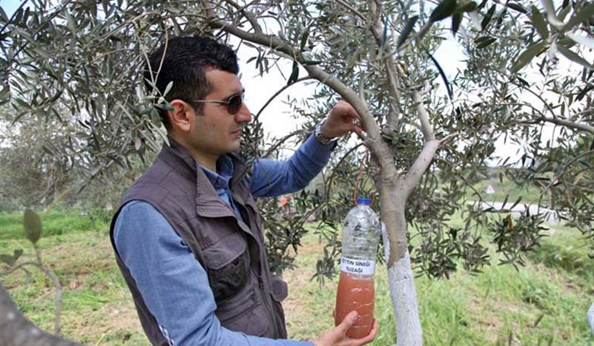 Alçıtepe Köyü’nde yeşil gübreleme