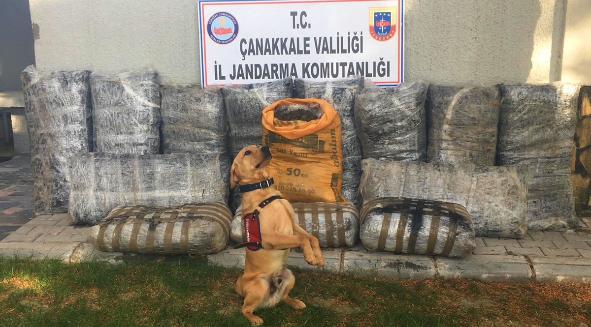 Adı gibi Roket!