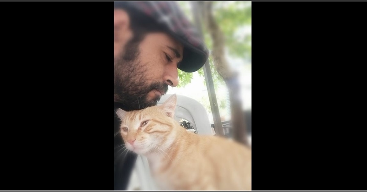 Sıcacık bir kare