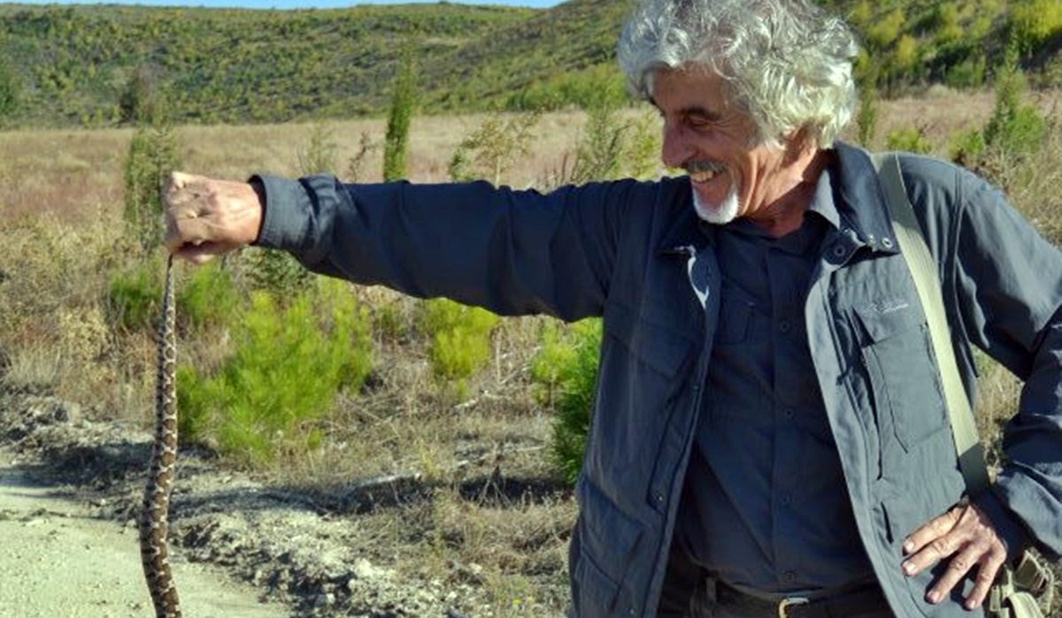 Yılan yakaladı