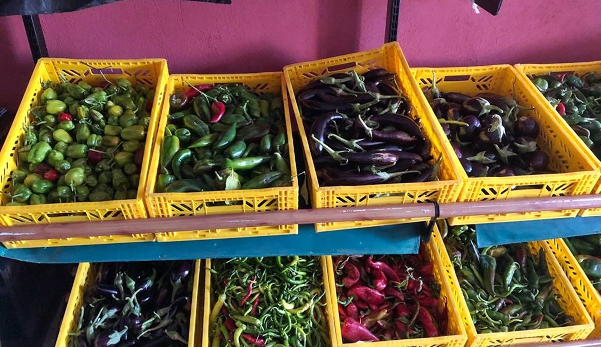 Sosyal Market’e sebze geldi