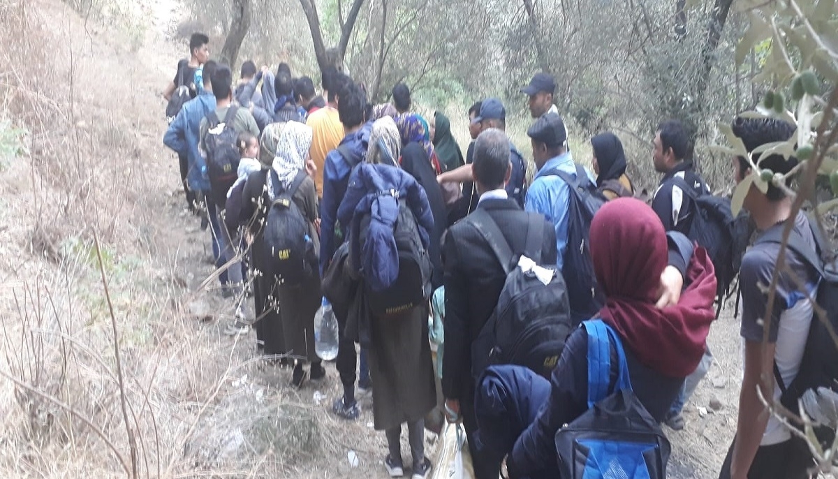 95 düzensiz göçmen yakalandı