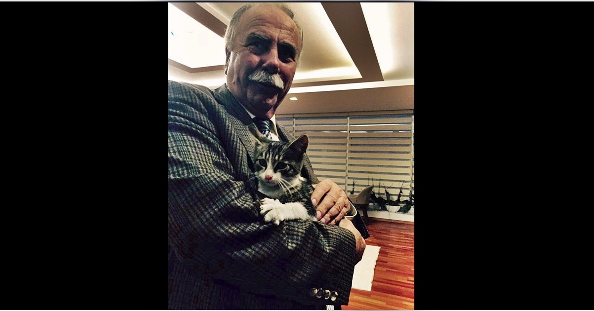 Barış Kedi de artık sosyal medyada