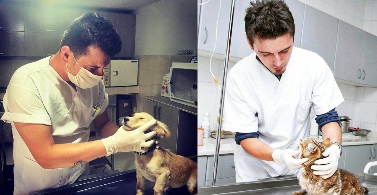 Can dostlar kısırlaştırılıyor