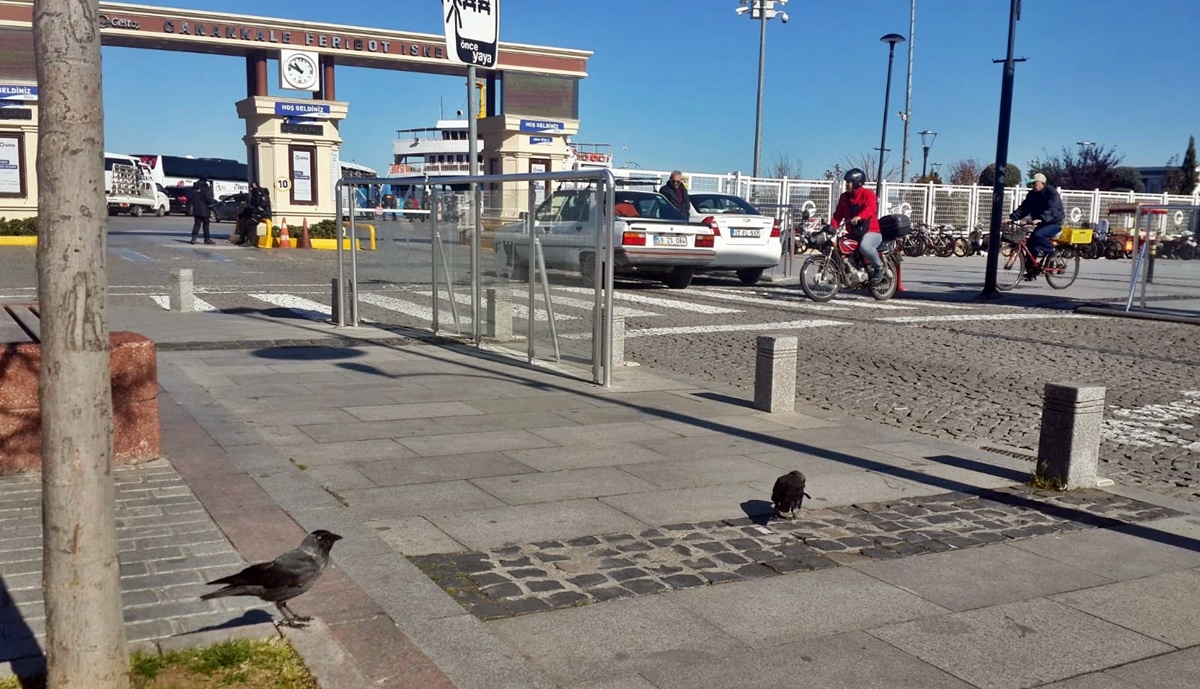 ''Evinde kal Çanakkale'' (VİDEO)