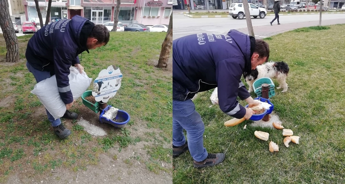 "Can dostlarını unutmayalım"