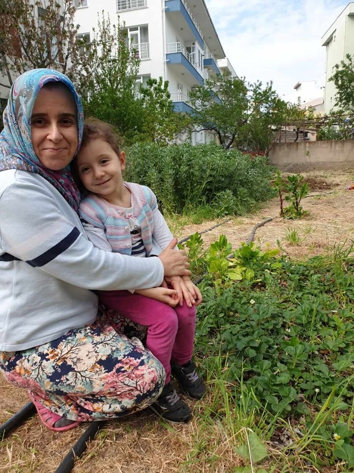 Yediveren çileği fidesi bağışladı