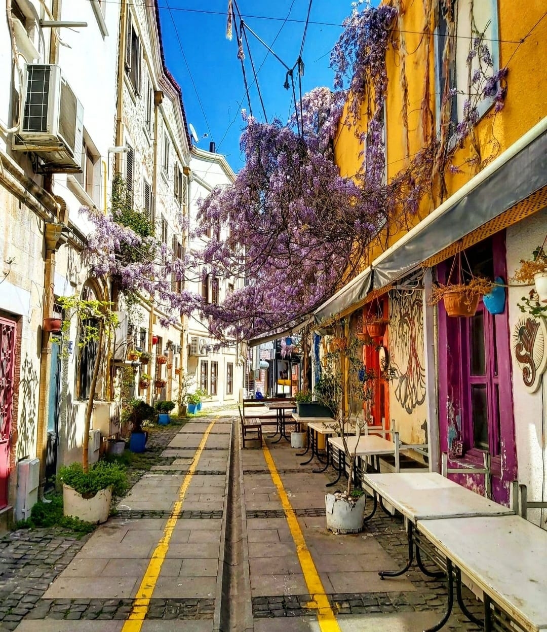Görmeyeli ne güzel olmuşsun