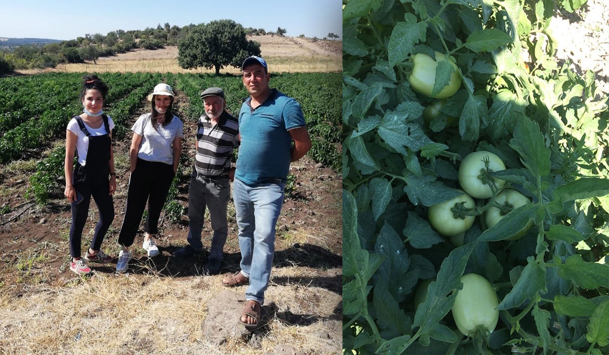 Üreticilere tarlada ziyaret