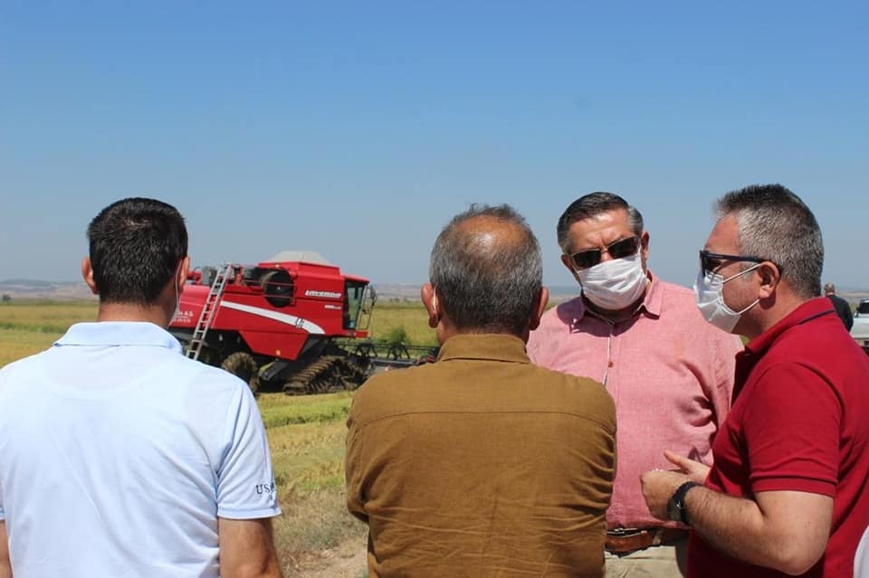 Çeltik hasadı yapıldı