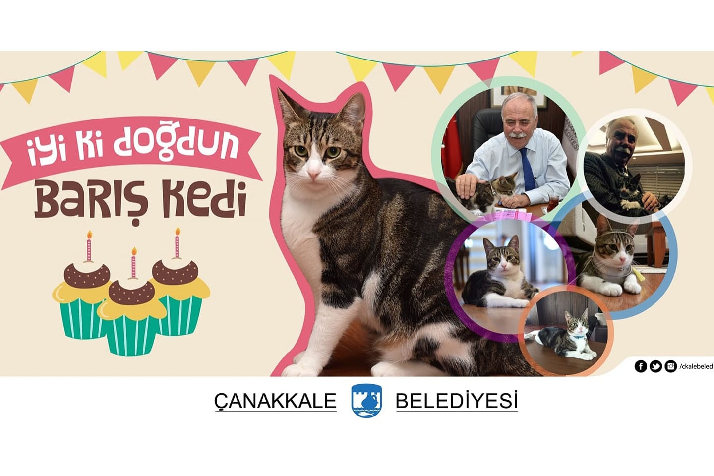 Barış Kedi 5 yaşında!