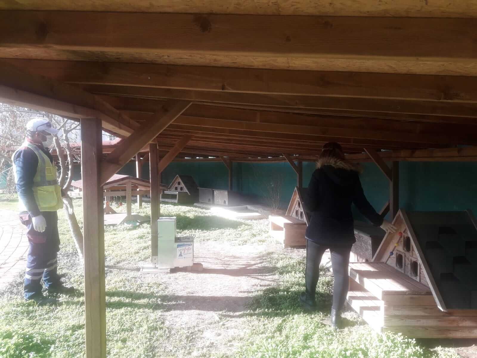 Kedi köyünde sağlık taraması yapıldı