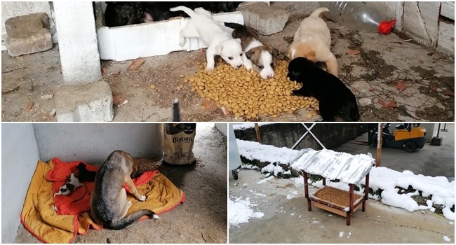 Mama takviyeleri yapıldı