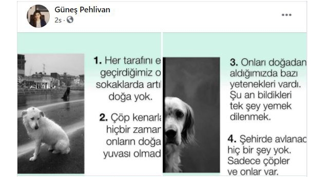 “Çöp kenarları onların doğal yuvası değil!”