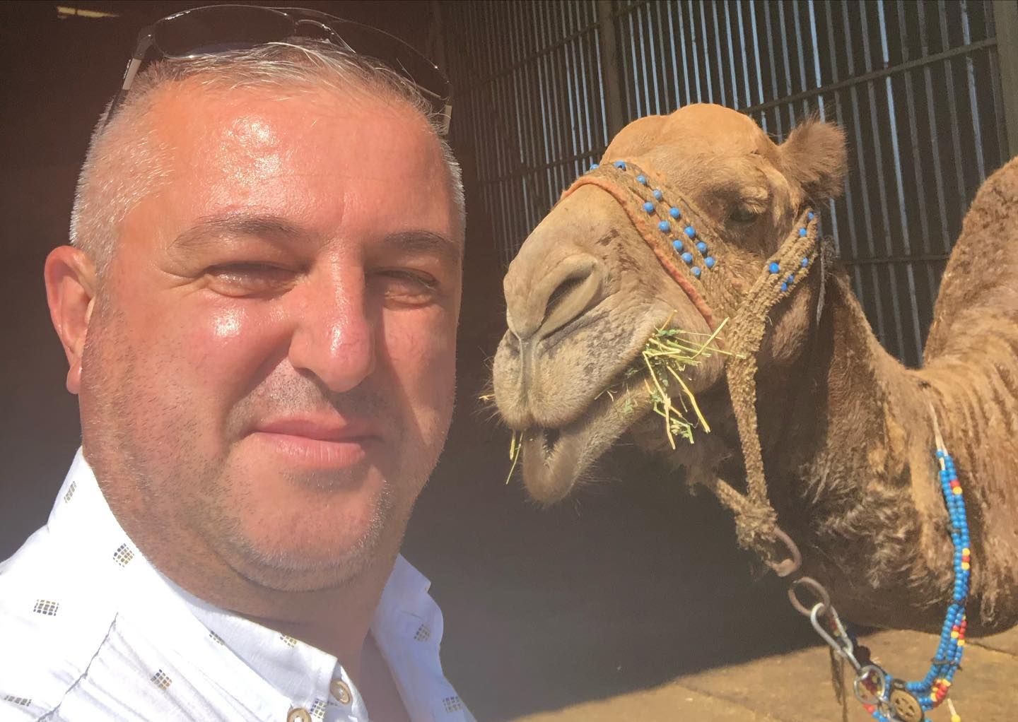 Kafkas efe havutlanıyor
