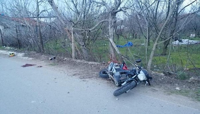 Köpeğe çarpmak istemedi, canından oldu