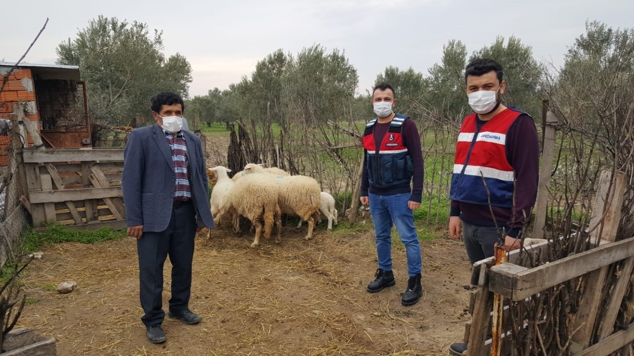 Çalınan hayvanlar sahibine teslim edildi