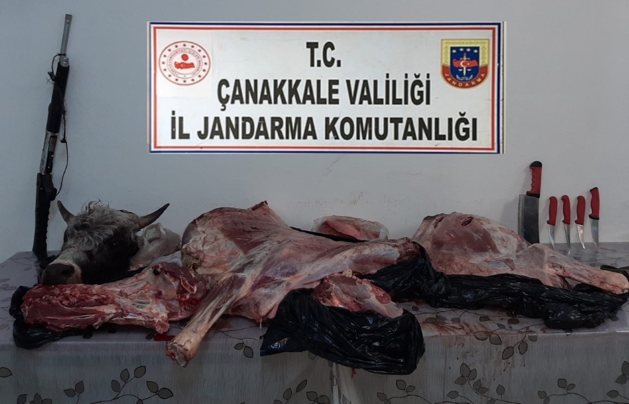 Jandarma, hayvan hırsızlarına operasyon düzenledi