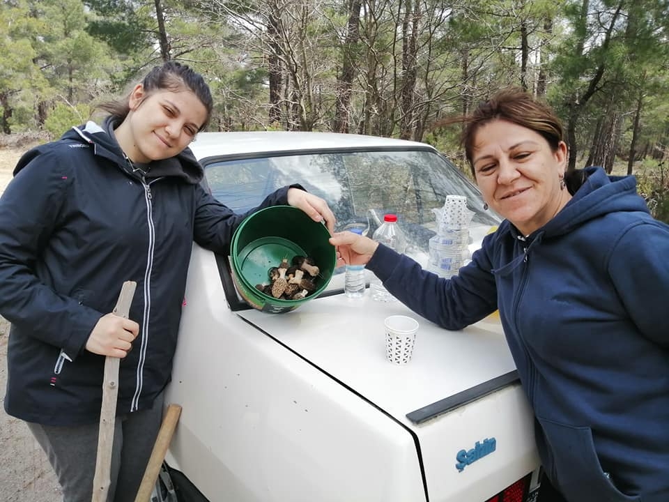 Kuzu göbeği topladılar