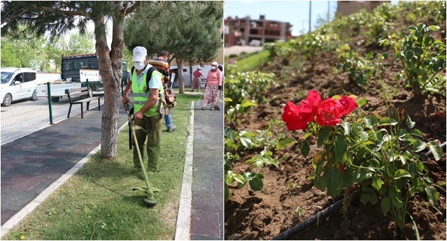 Çiçek gibi Bayramiç için…
