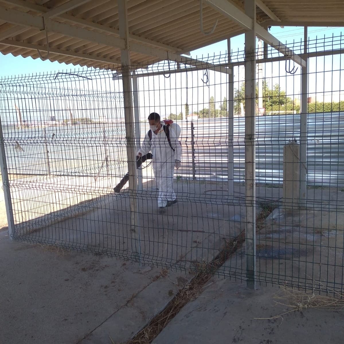 Kesim alanları dezenfekte edildi