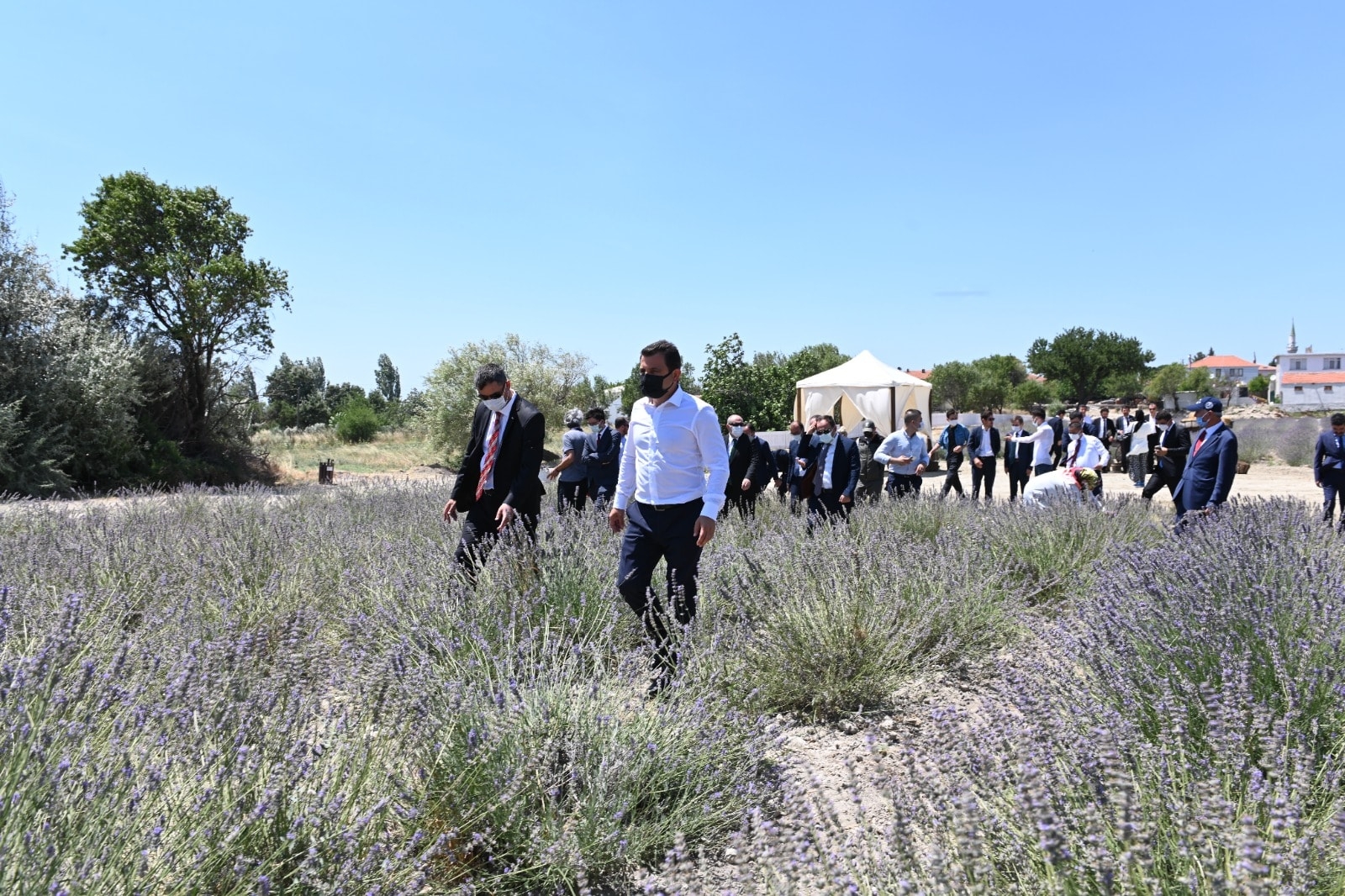 Lavanta bahçesini gezdiler