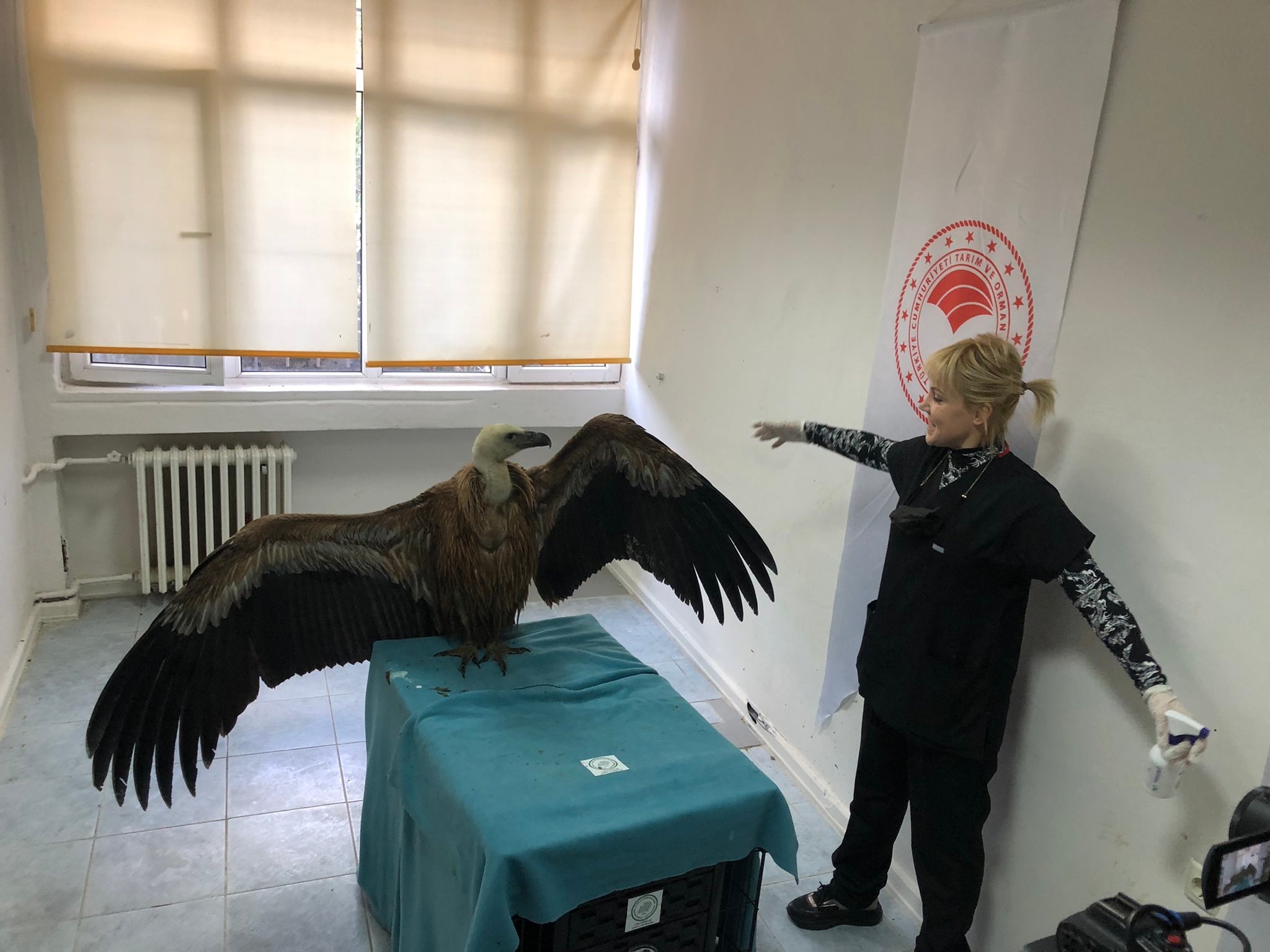 Gelibolu’daki Kızılakbaba kurtarıldı