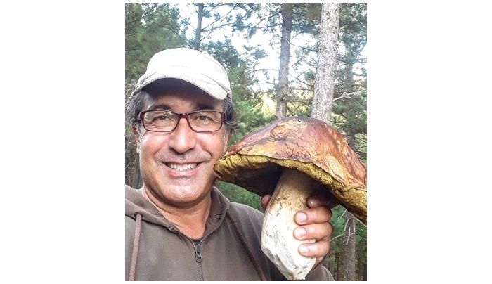 Bayramiç’te dev porçini