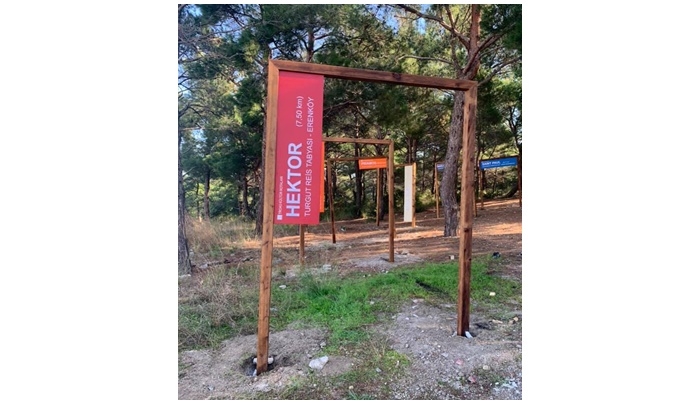 Direklerin sırrını çözdü