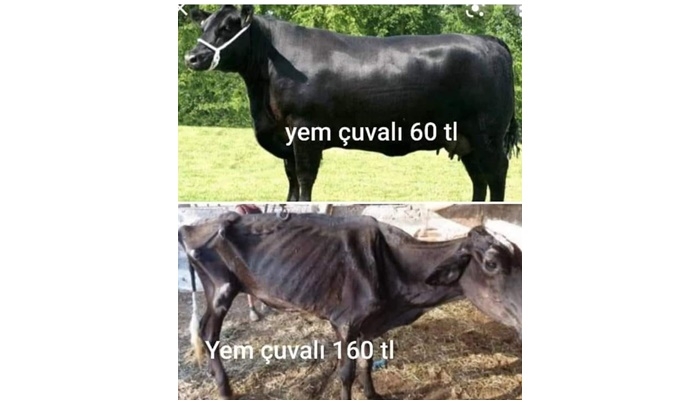 “Yılın anlamlı paylaşımı”