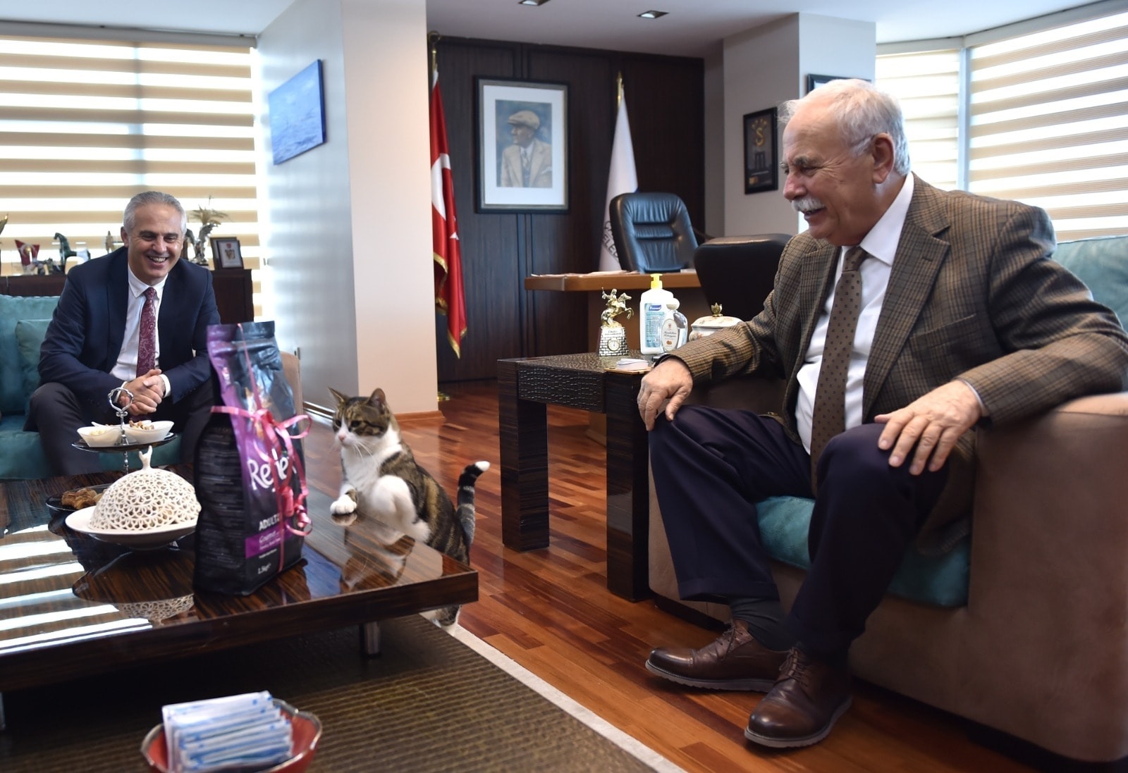 Barış Kedi’ye yeni yıl hediyesi