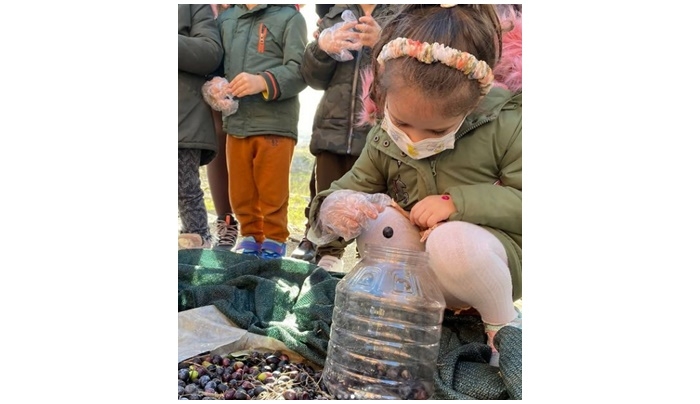 Zeytin hasadına katıldılar