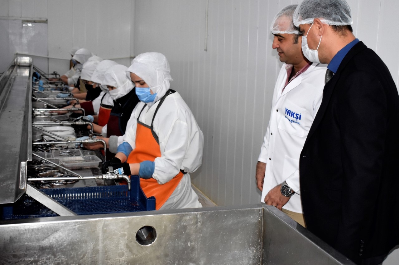 İŞKUR Müdürü konserve işletmesini gezdi