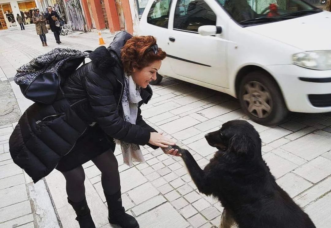 Sıcacık fotoğraf