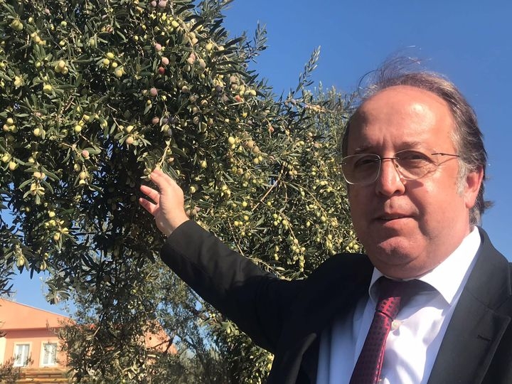 Başkan Balkan’dan zeytin paylaşımı