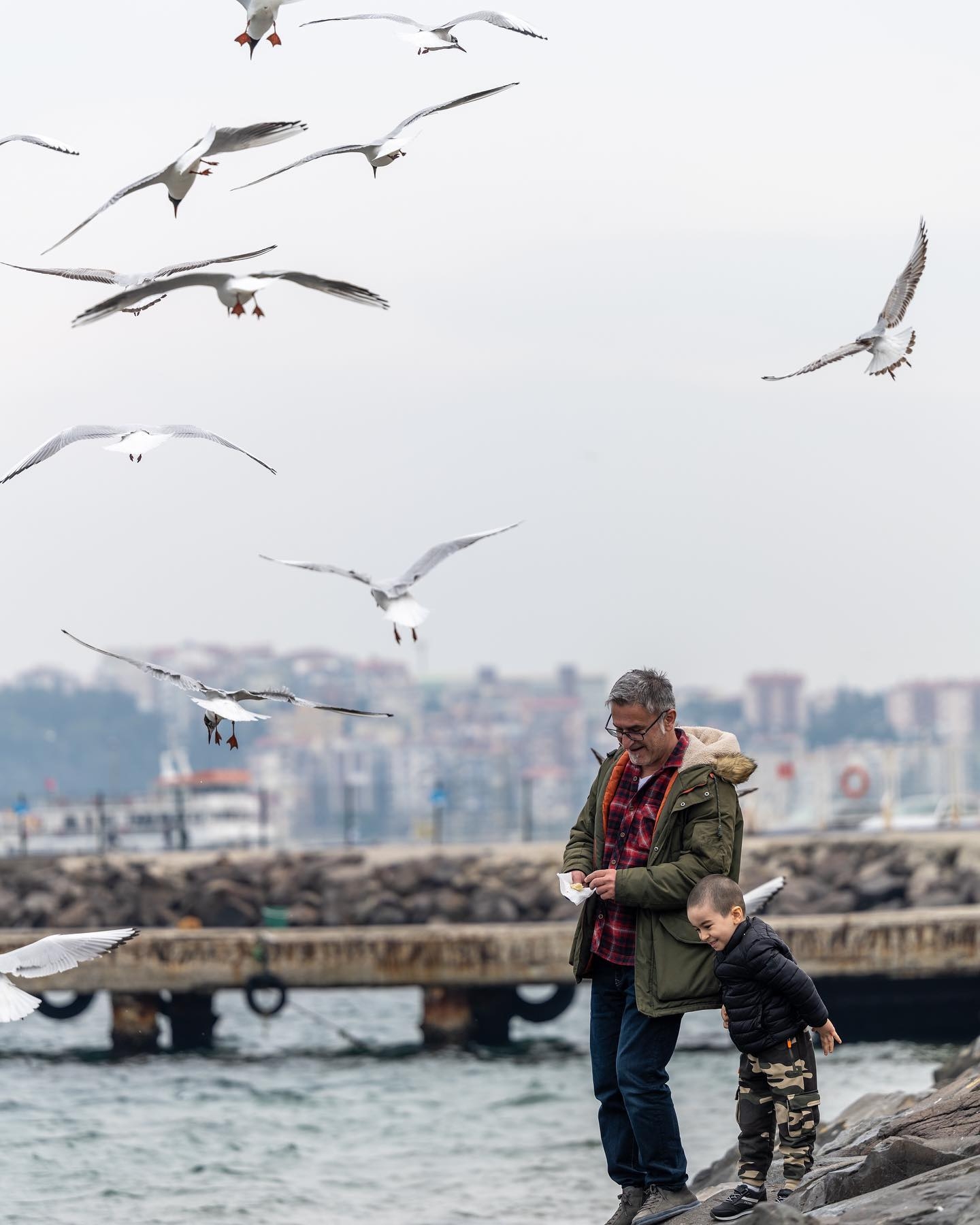 Martıları beslediler
