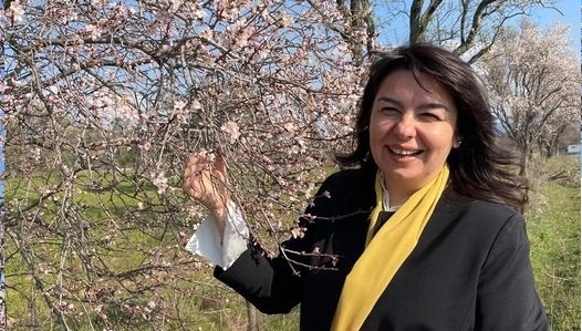 “Güzel memleketime bahar gelmiş”