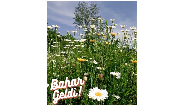 “Bahar geldi!”