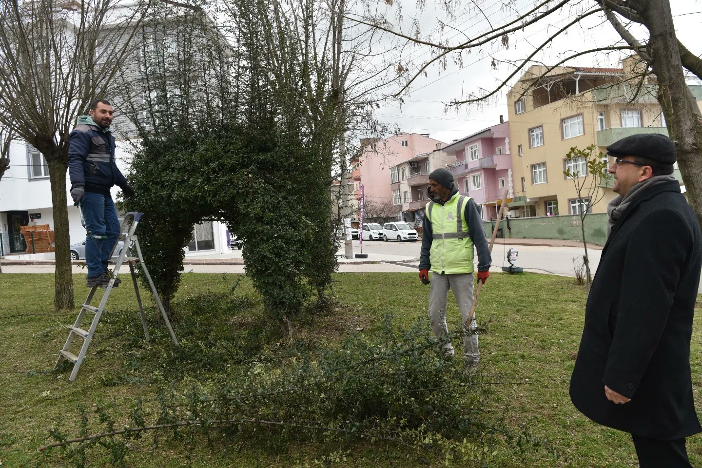 Yeşil Çan hayali gerçek oluyor