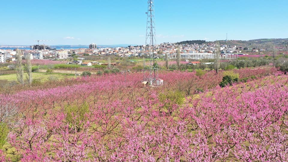 Bahar kendini gösteriyor