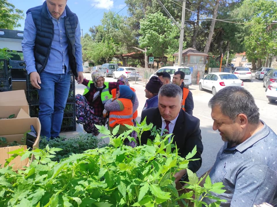 10 bin sebze fidesi dağıtıldı