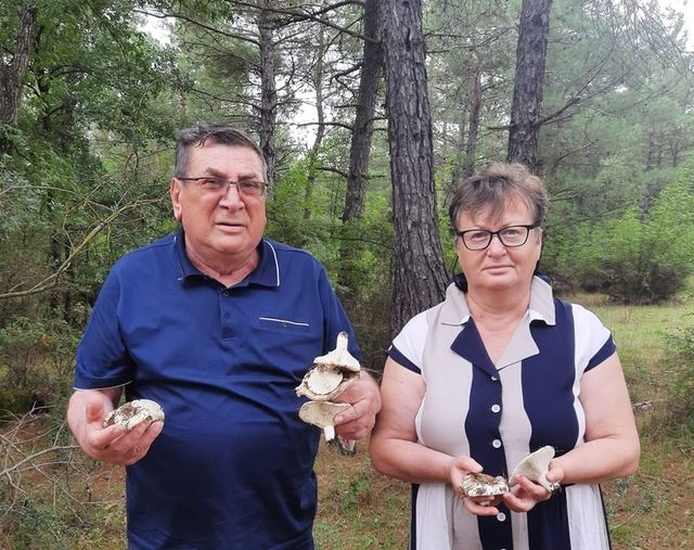 Yılın ilk mantarı